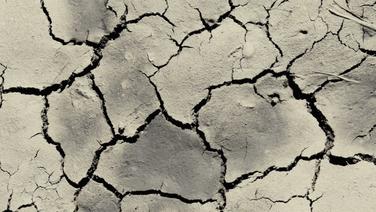 Dry cracking earth.