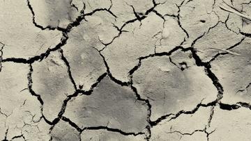 Dry cracking earth.